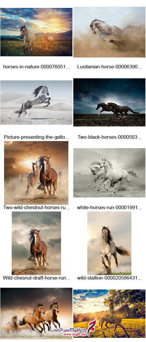  Amazing IS - Horse, 20xUHQ JPGs