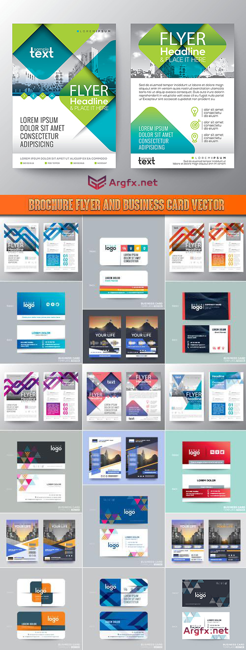 Brochure flyer and business card vector