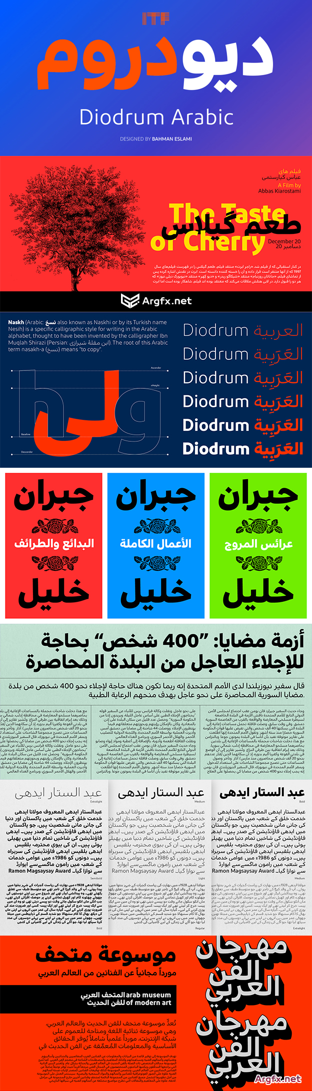 Diodrum Arabic Font Family $520