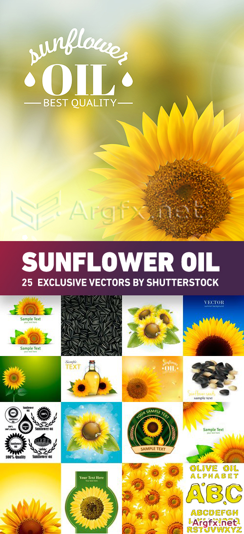  Sunflower Oil 25xEPS