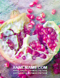 (Pomegranate (TheLegend P_776z7vn55