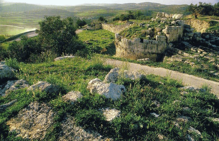 بلدة سبسطية الأثرية بنابلس