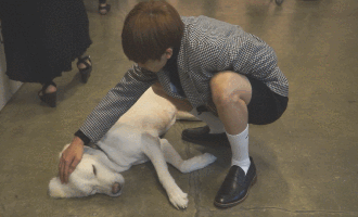   ♥ ANOTHER KPOP GIFS ♥ BOMB  ♥	 P_95120t915
