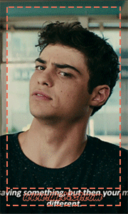 To All The Boys I Have Loved Before | GIF Icons | Noah Centineo | The Hunters P_9688vtaj3